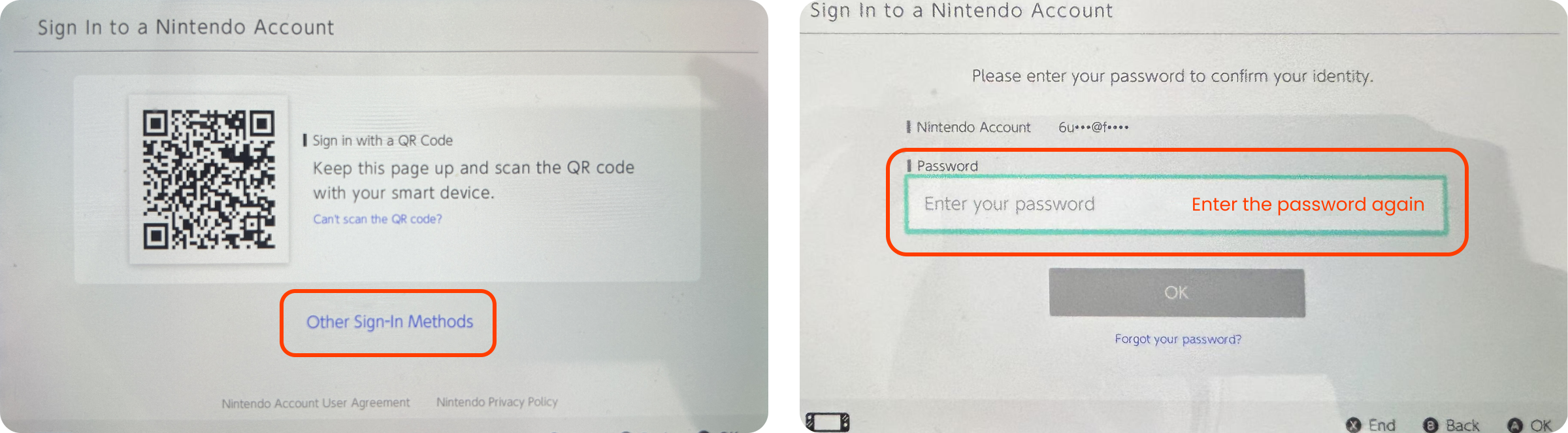 Re-Entering The Password